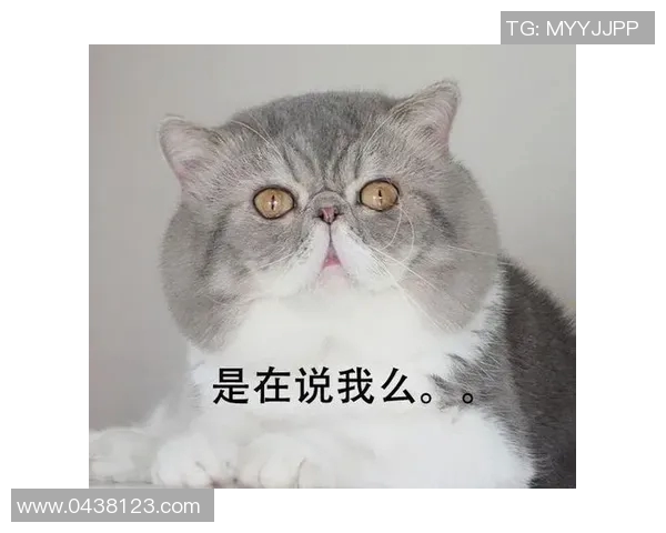 搞笑先生带你认识那些幽默搞笑的足球明星名字大揭秘