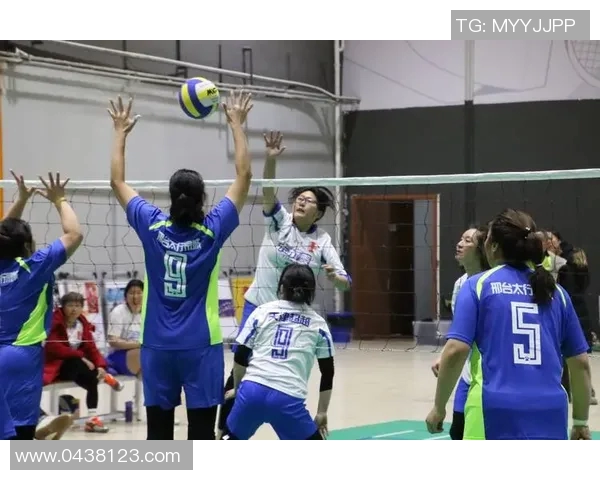 权威发布：2023年全球排球实力排行榜全面解析与分析