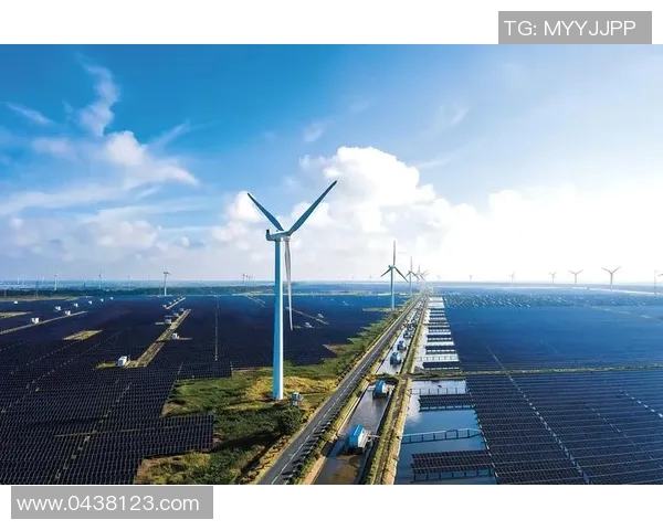 武汉羽毛球队的阵地战革新探索与实践：重塑竞技格局与团队协作新模式