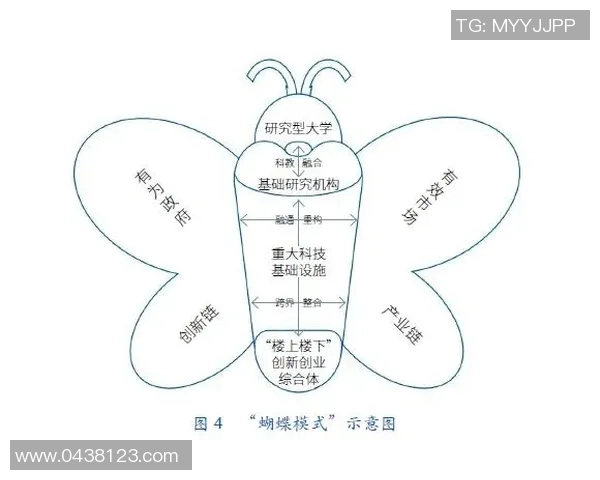 深圳网球队的战术创新与转换体系解析及其在比赛中的应用