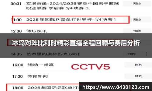 冰岛对阵比利时精彩直播全程回顾与赛后分析