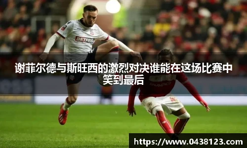 谢菲尔德与斯旺西的激烈对决谁能在这场比赛中笑到最后